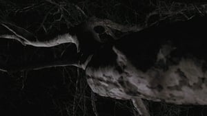 The Mothman Prophecies (2002)