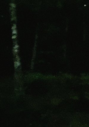 light rain, empty mind