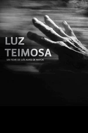 Image Luz Teimosa