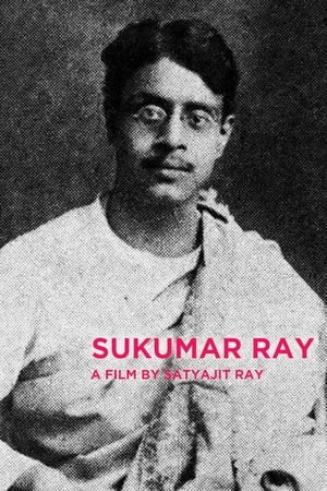 Poster Sukumar Ray 1987
