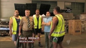 Swift and Shift Couriers The Safety Inspector