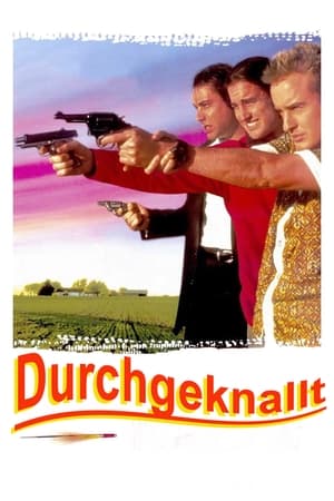 Poster Durchgeknallt 1996