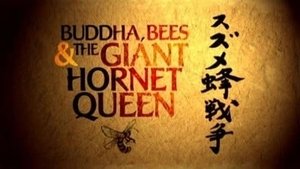 Buddha, Bees And The Giant Hornet Queen