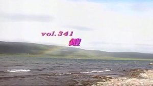 Episode 341