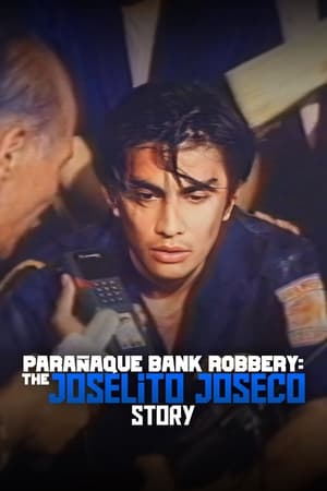 Poster Paranaque Bank Robbery (1993)