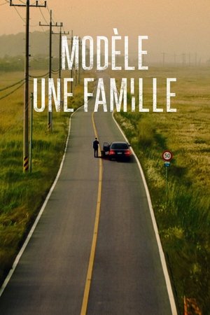 A Model Family movie poster