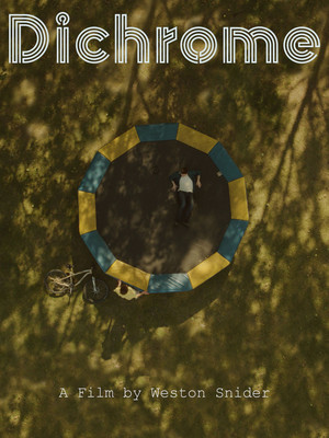 Dichrome 2