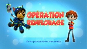 Opération renflouage