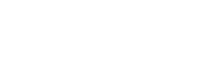 Lady Bird — Logos 8