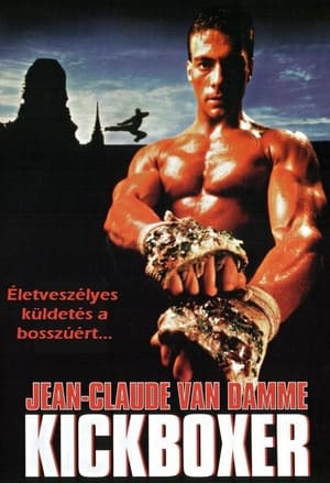 Image Kickboxer