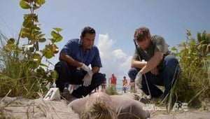 The Glades: 2×11