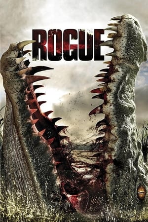 Poster Rogue 2007