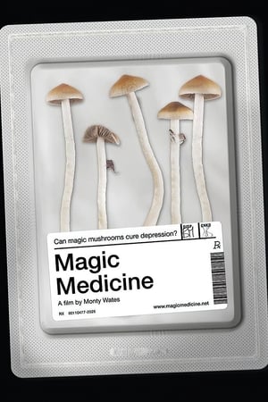 Poster Magic Medicine 2018