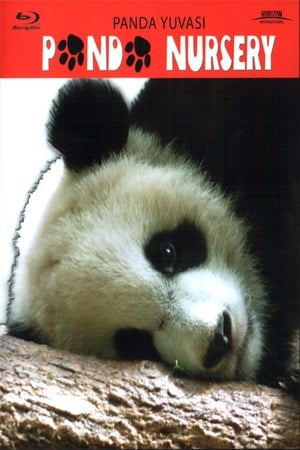 Poster Panda Nursery (2005)