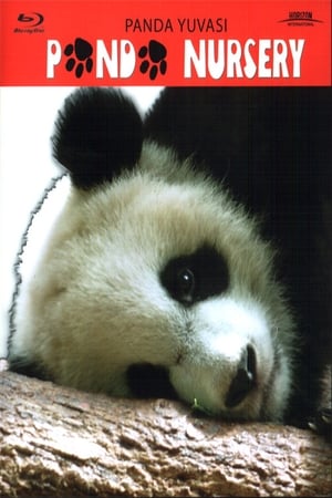 Poster Panda Nursery 2005