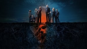 Images posters