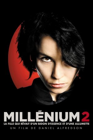 Millénium 2 : La Fille qui rêvait d'un bidon d'essence et d'une allumette (2009)