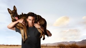 Dog. Un viaje salvaje Película Completa HD 1080p [MEGA] [LATINO] 2022