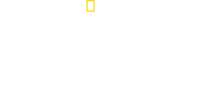 /x4Zv4ETWdrmJwt5dEUGDyufzHwD.png