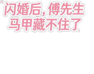 闪婚后，傅先生马甲藏不住了 — Logos 1