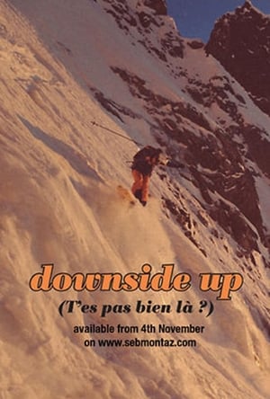 Poster Downside Up (2013)