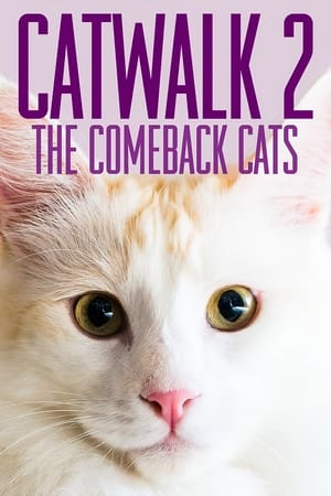 Image Catwalk 2: The Comeback Cats