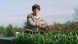 Narrow Escapes Episode 16