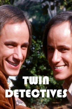 Image Twin Detectives