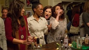 Bad Moms / ცუდი დედები