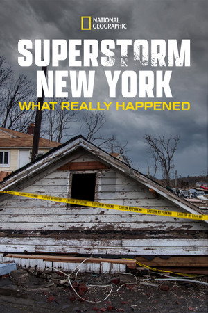Superstorm New York: What Really Happened 9