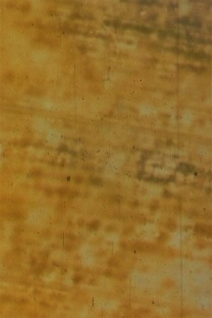 Nonton film Bamboo (2007) terbaru sub indo Nonton film Bamboo (2007) terbaru sub indo