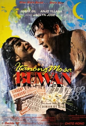 Poster Itanong Mo sa Buwan (1988)