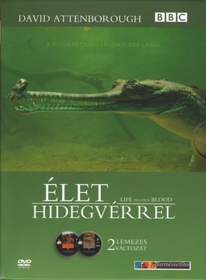 Image Élet hidegvérrel