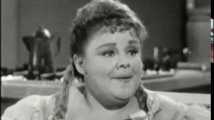 The Beverly Hillbillies The Girl from Home