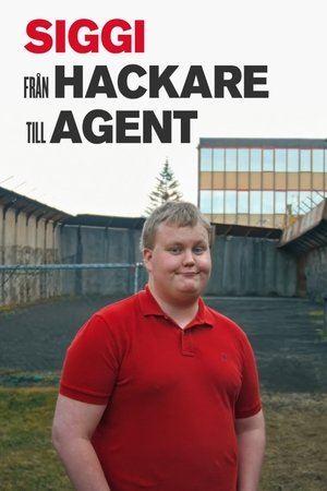 Siggi - från hackare till agent (2024)