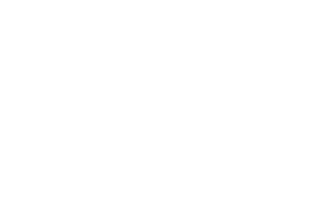 顽主 — Logos 2