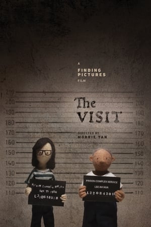 Poster The Visit 2021