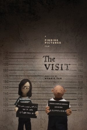 pelicula The Visit (2021)