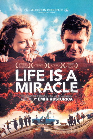 Life Is a Miracle