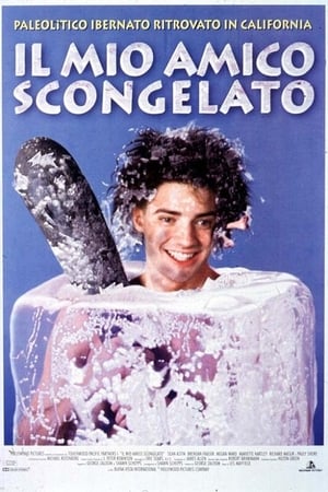 Poster Il mio amico scongelato 1992