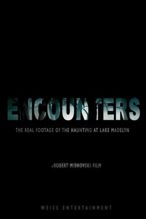 Poster di Encounters