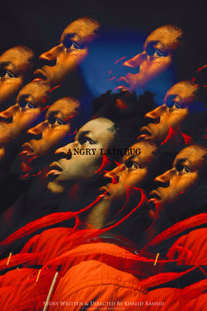 Affiche de Angry Ladybug