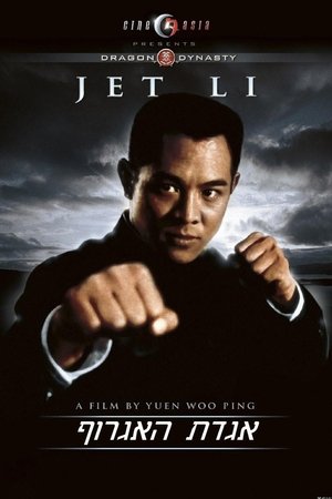 <Images posters