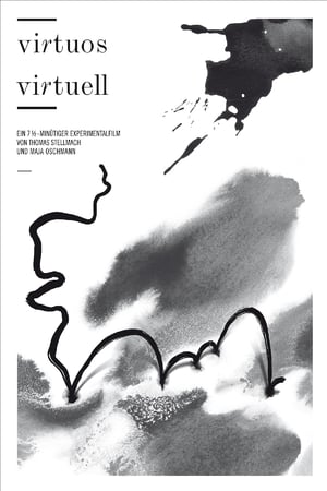 Poster Virtuoso Virtuell 2013