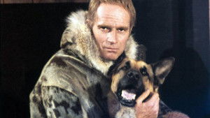 The Call of the Wild