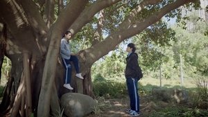Reborn Season 1 ด้วยแสงแห่งรัก ปี 1 ตอนที่ 15