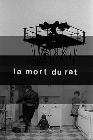 Poster Death of the Rat (1975)