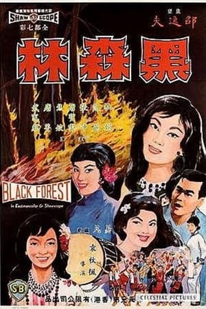 Poster 黑森林 1964