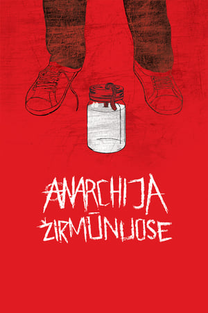 Poster Анархия в Жирмунай 2010