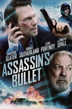 Image Assassin's Bullet